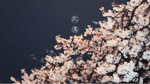 武漢，我們又見面了